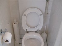 Toilet  clean toilet
